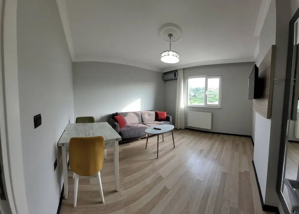 Alissa Suite