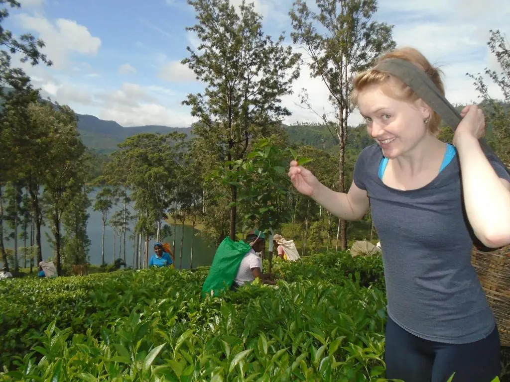 Princess of Dickoya Homestay