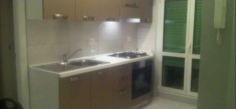 Luxury Apartment