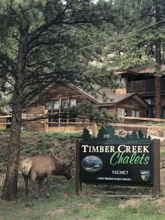 Timber Creek Chalets: 2A