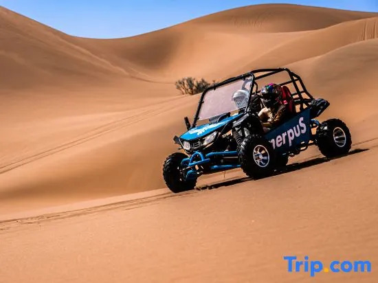 Tengger Desert Seeking Secret Camping Hotel