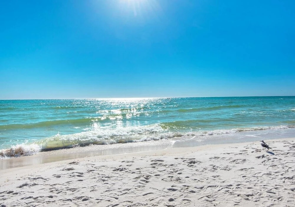 Tradewinds Condominium #25