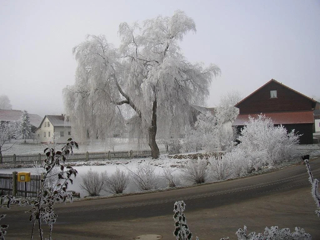 Gasthaus Zur Waldesruh