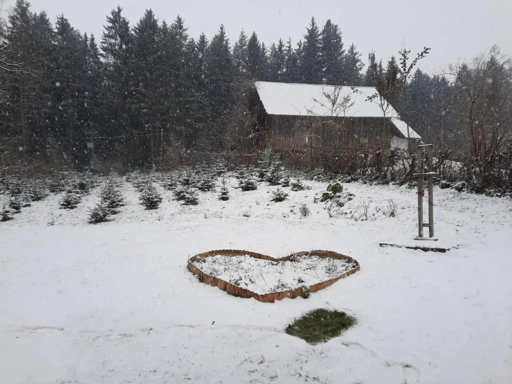 Chalet Damtschach