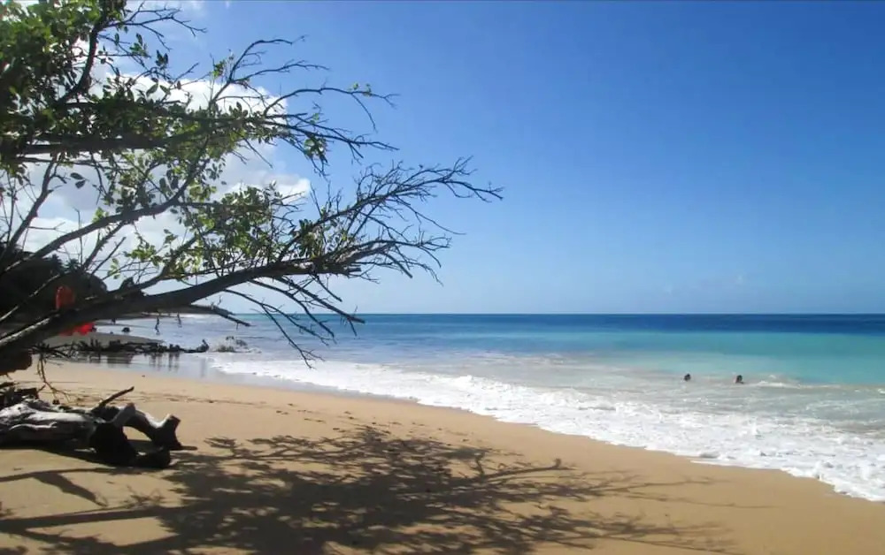 House with 2 Bedrooms in Sainte-Rose, with Enclosed Garden And Wifi - 300 M From the Beach