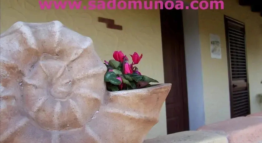 Sa Domu Noa