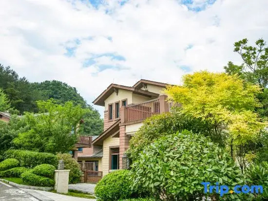 Zhangjiajie Cloudy Valley Villa Hotel