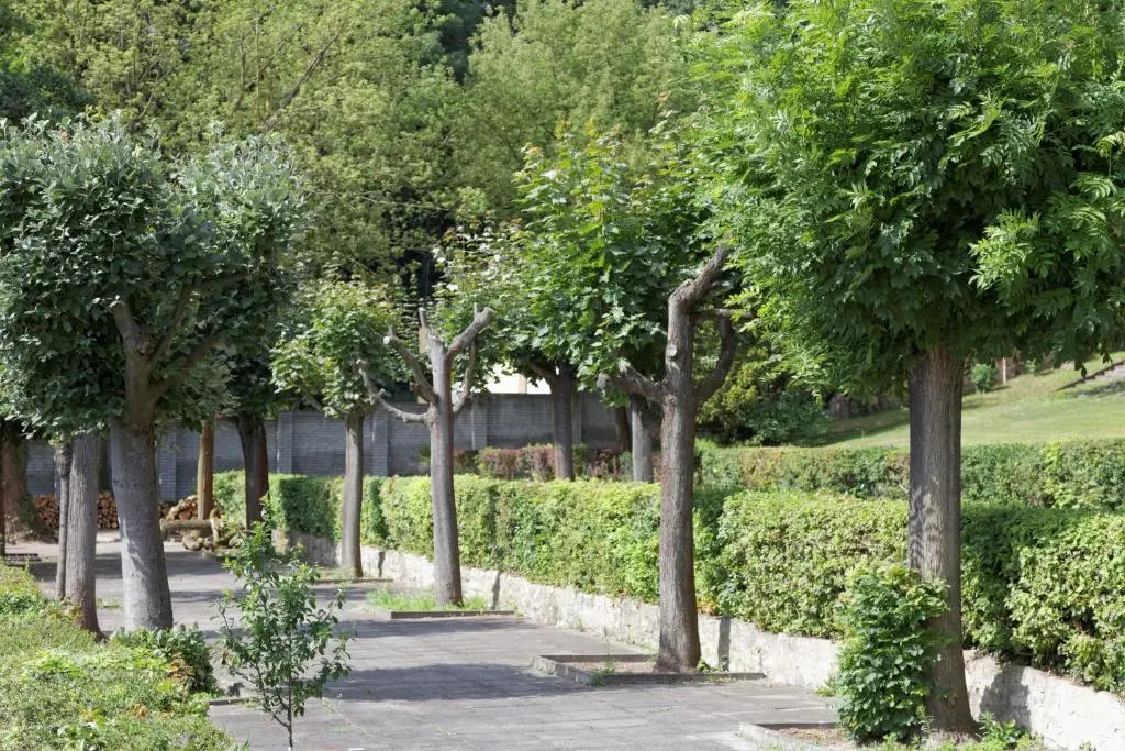 Wassersport-Appartements am Stößensee