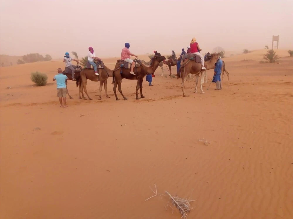 Auberge Kasbah La Rose De Sable