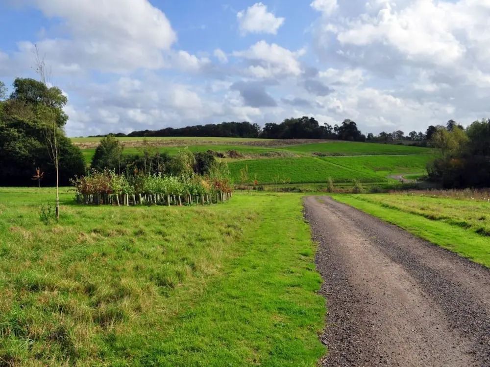 Brook Lodge