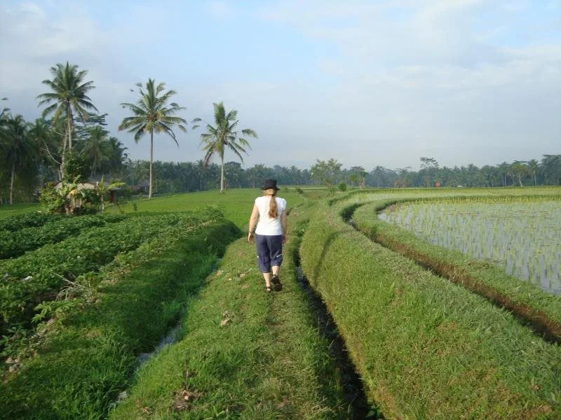 Villa Ibu Rama Ubud