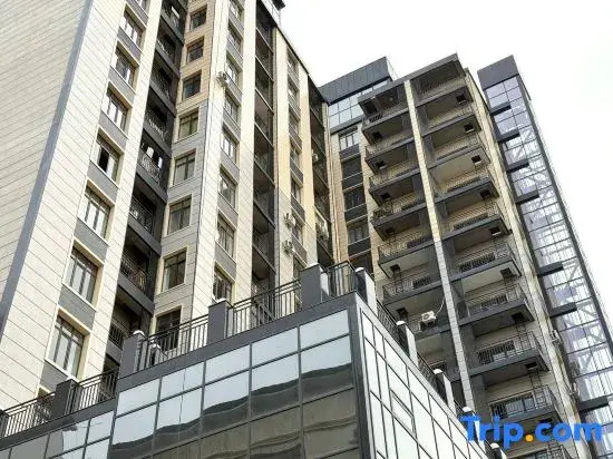 City Apartments Frunze 466/43