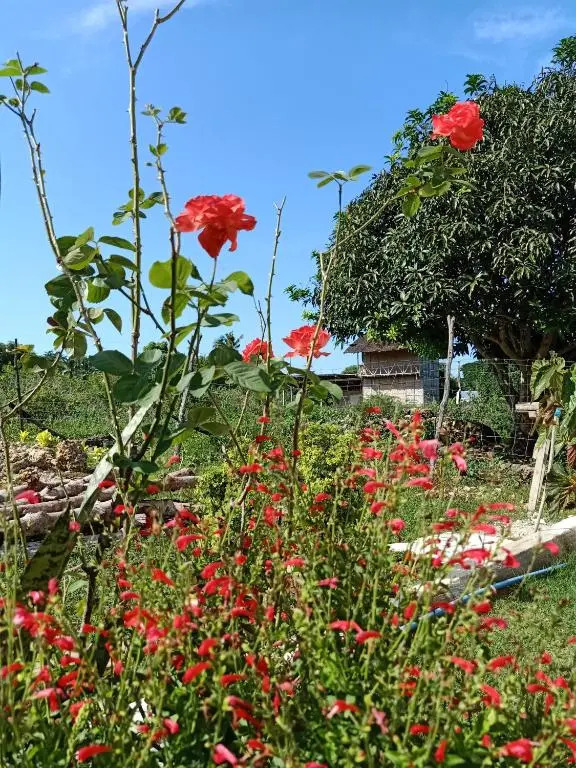 RMB GUEST HOUSE