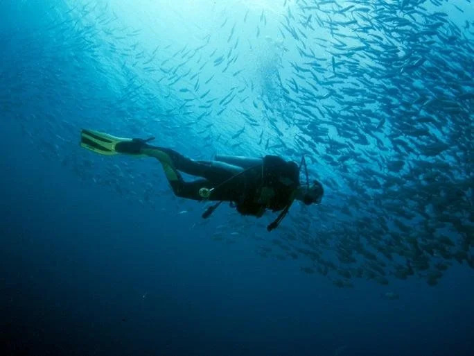 Anilao Scuba Dive Center