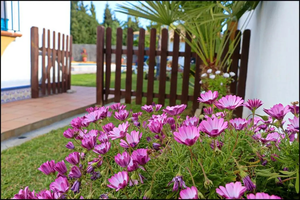 Chalet con piscina en Roche Viejo