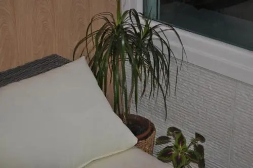 Premium Apartment Yumbo WIFI A/C