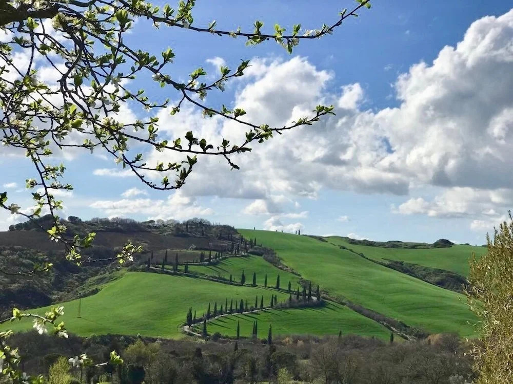 Chiarentana di Donata Origo