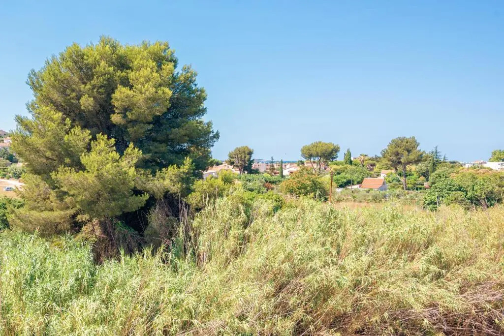 Studio Sanary