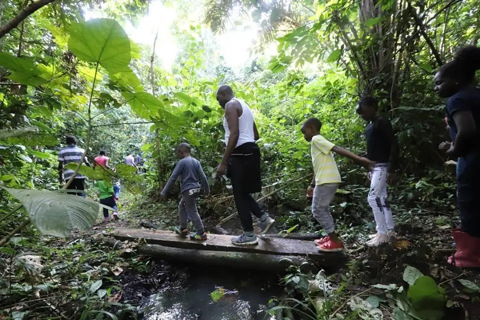 Bushbaby Lodge