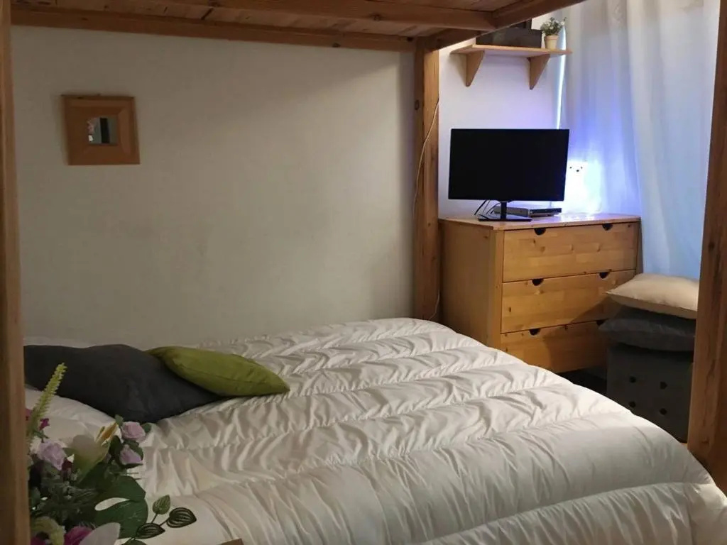 Appartement Arette, 1 pièce, 4 personnes - FR-1-602-78