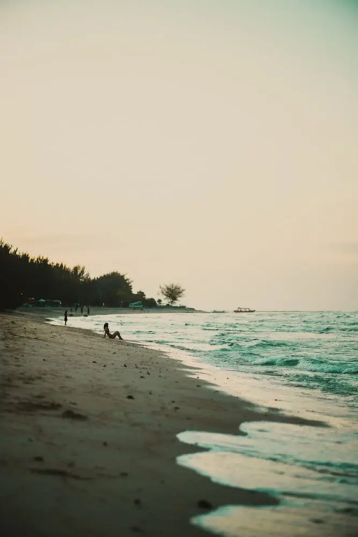 Villa for Rent in Bali 2039