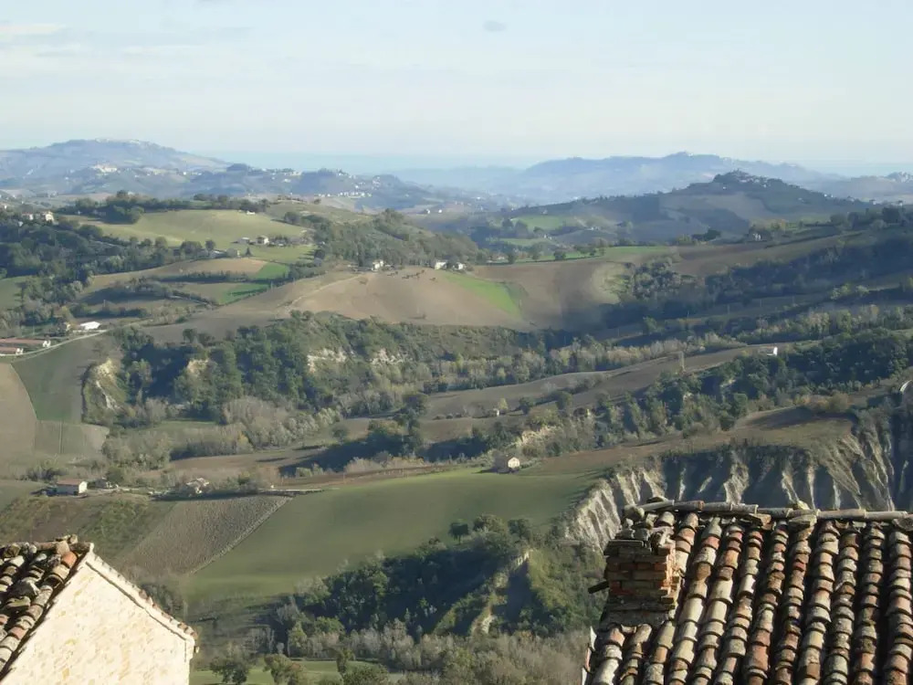 Orto di Oliva