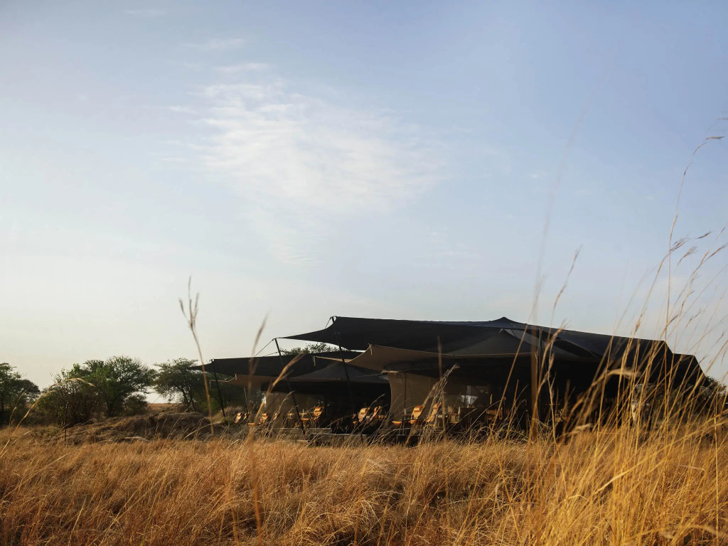 Siringit Migration Camp