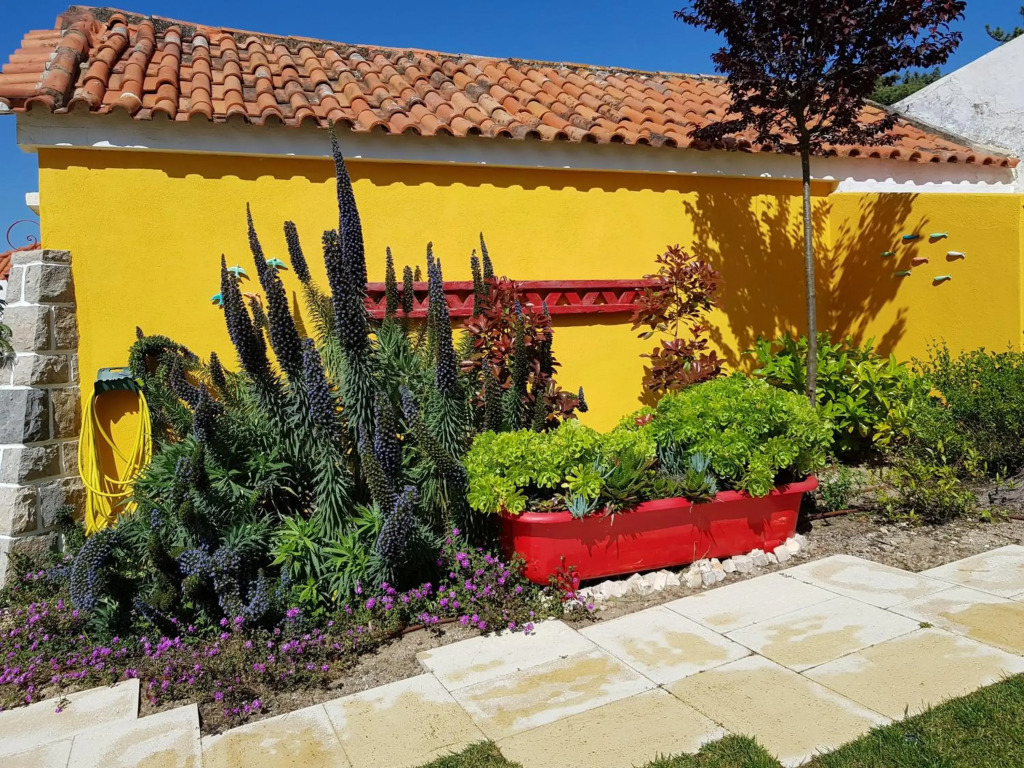 A Barca Charm House