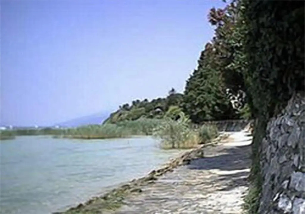 La Bella Galeazzi - Italian Homing