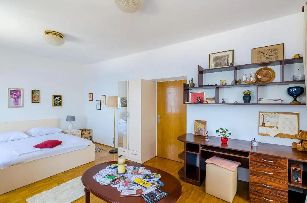 Apartment and Room Cicko