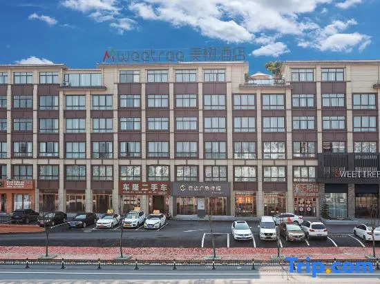 Yichun Meishu Hotel