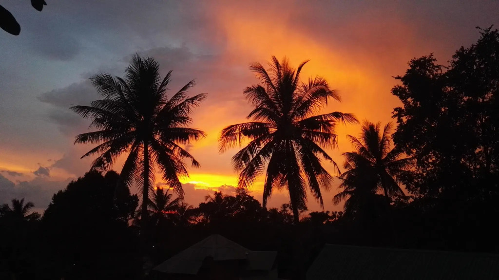 TP Hut Bungalows