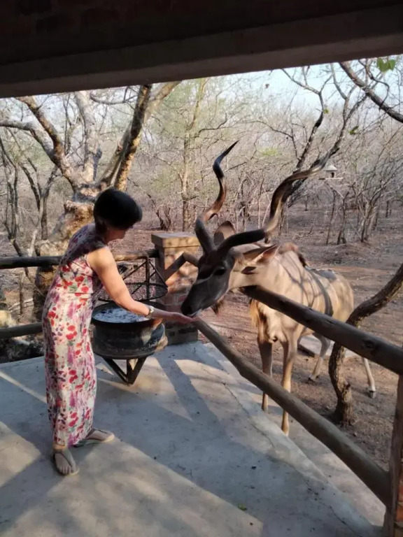 Kruger KayaLakho