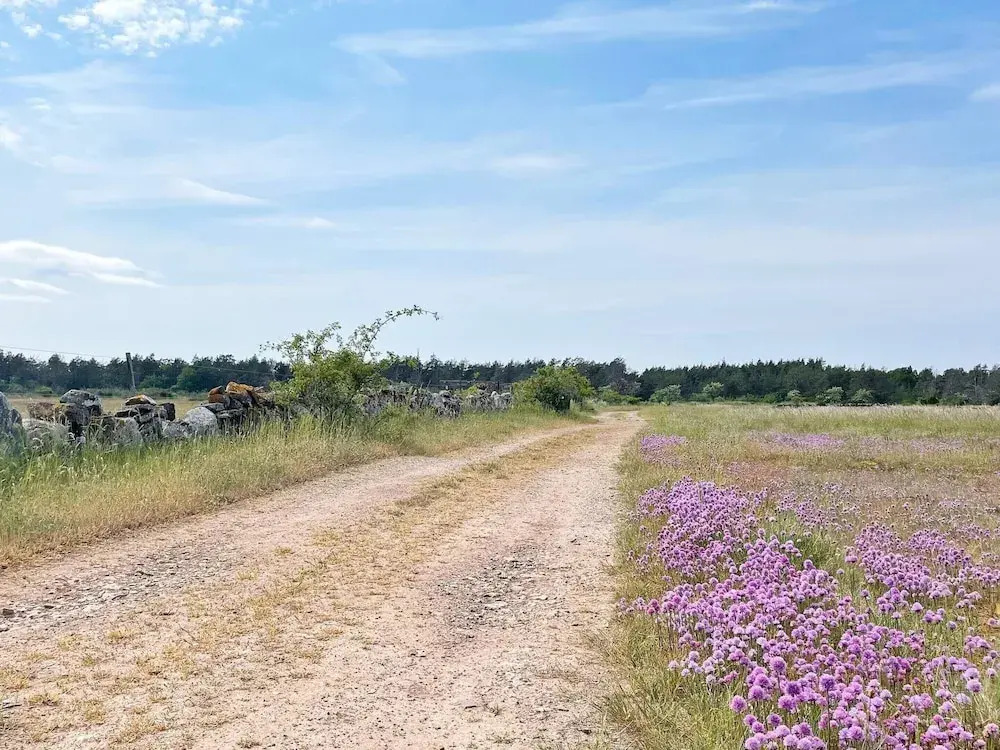 4 Star Holiday Home in Lottorp