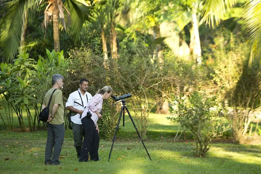Bosque del Cabo Rainforest Lodge