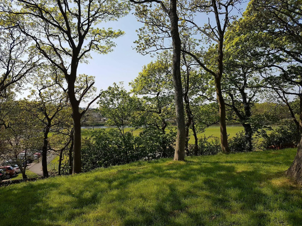 Annfield House Hotel