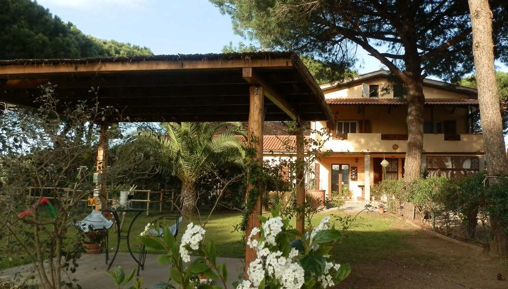 Il Picchio Verde