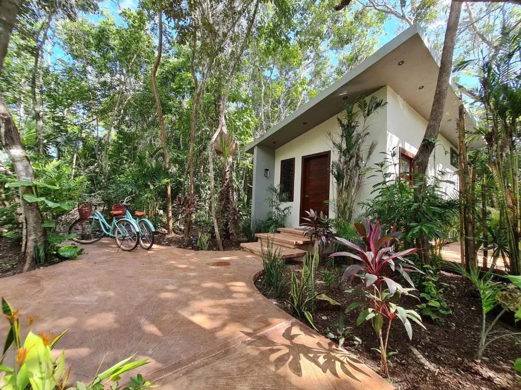 Secret Gardens Bacalar Suite 01 con alberca y bicicletas