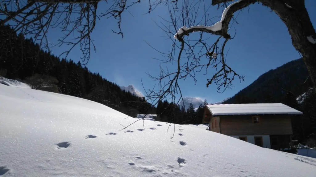 Neuberg Alm