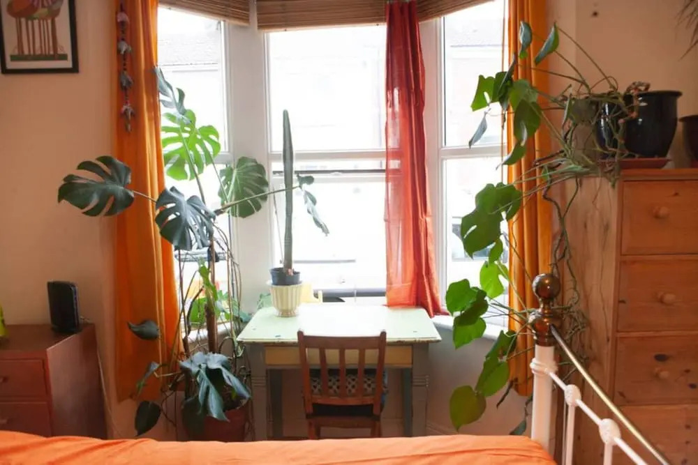 1 Bedroom Apartment With Beautiful Garden