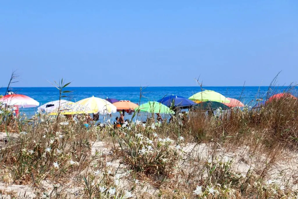 Bilocale mare ottimo prezzo vicino spiaggia m722