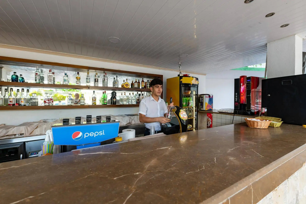 Viking Apart Hotel