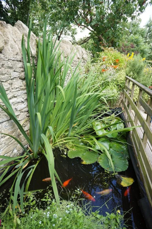 Bridge House B&B