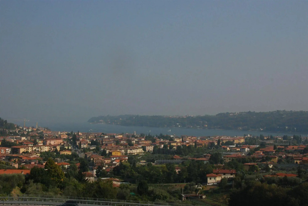 Olivi