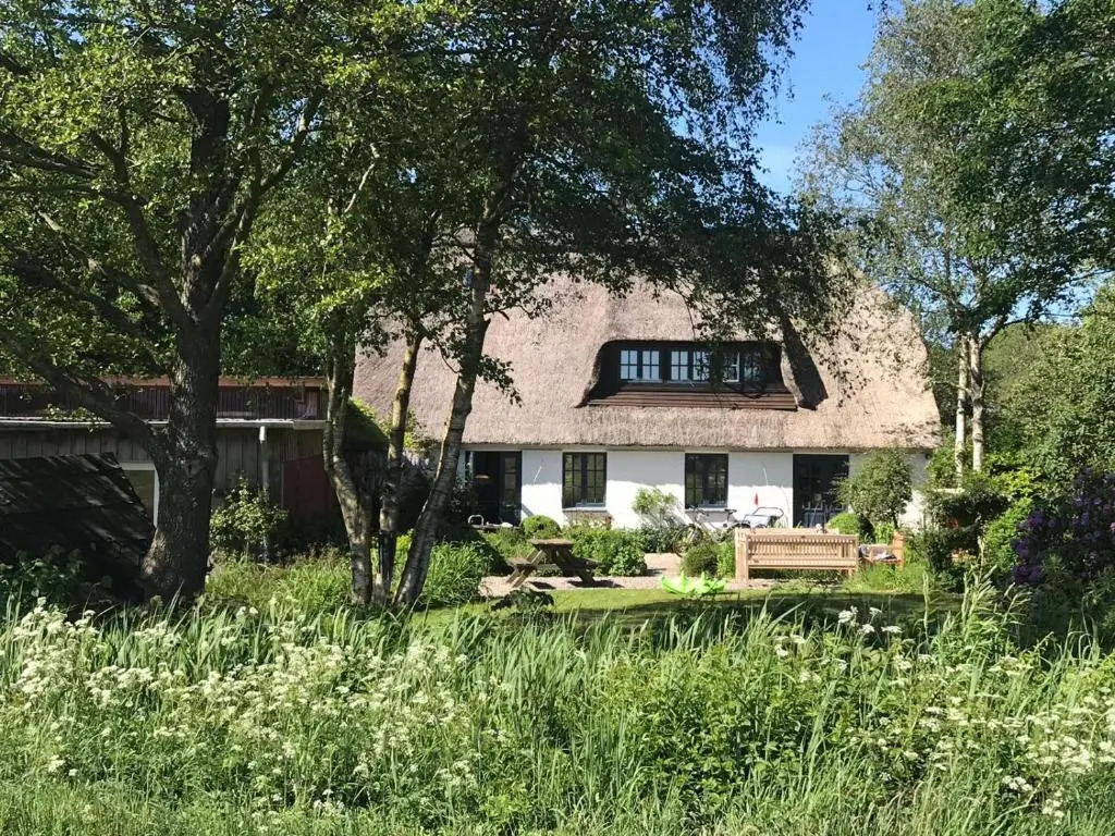 MeinNest31