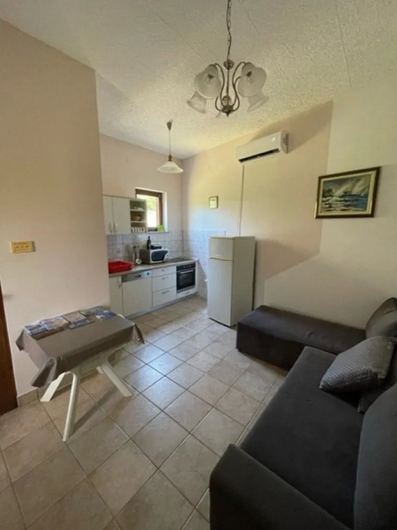 Apartment Ivan Njivice