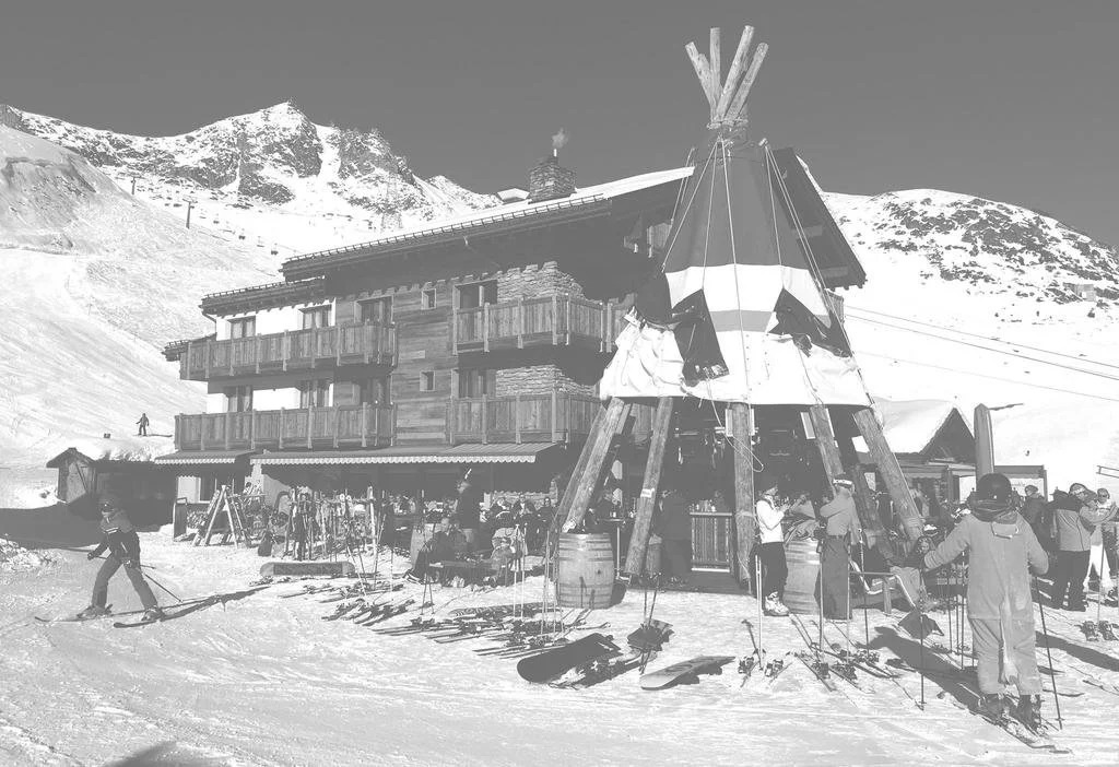Hotel Alpina