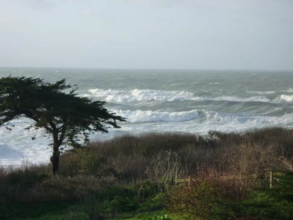La Criste Marine