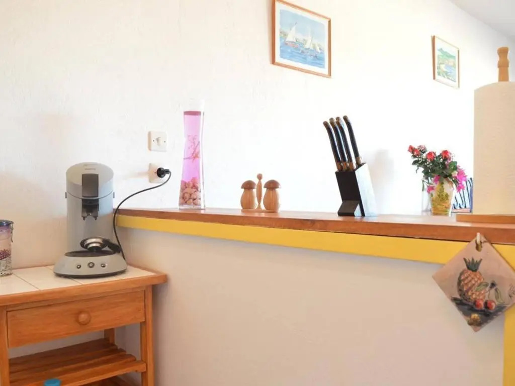 Appartement Banyuls-sur-Mer, 1 pièce, 4 personnes - FR-1-225C-533