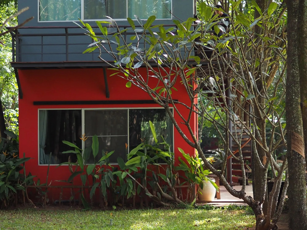 Singha Rubber Tree Kanchanaburi